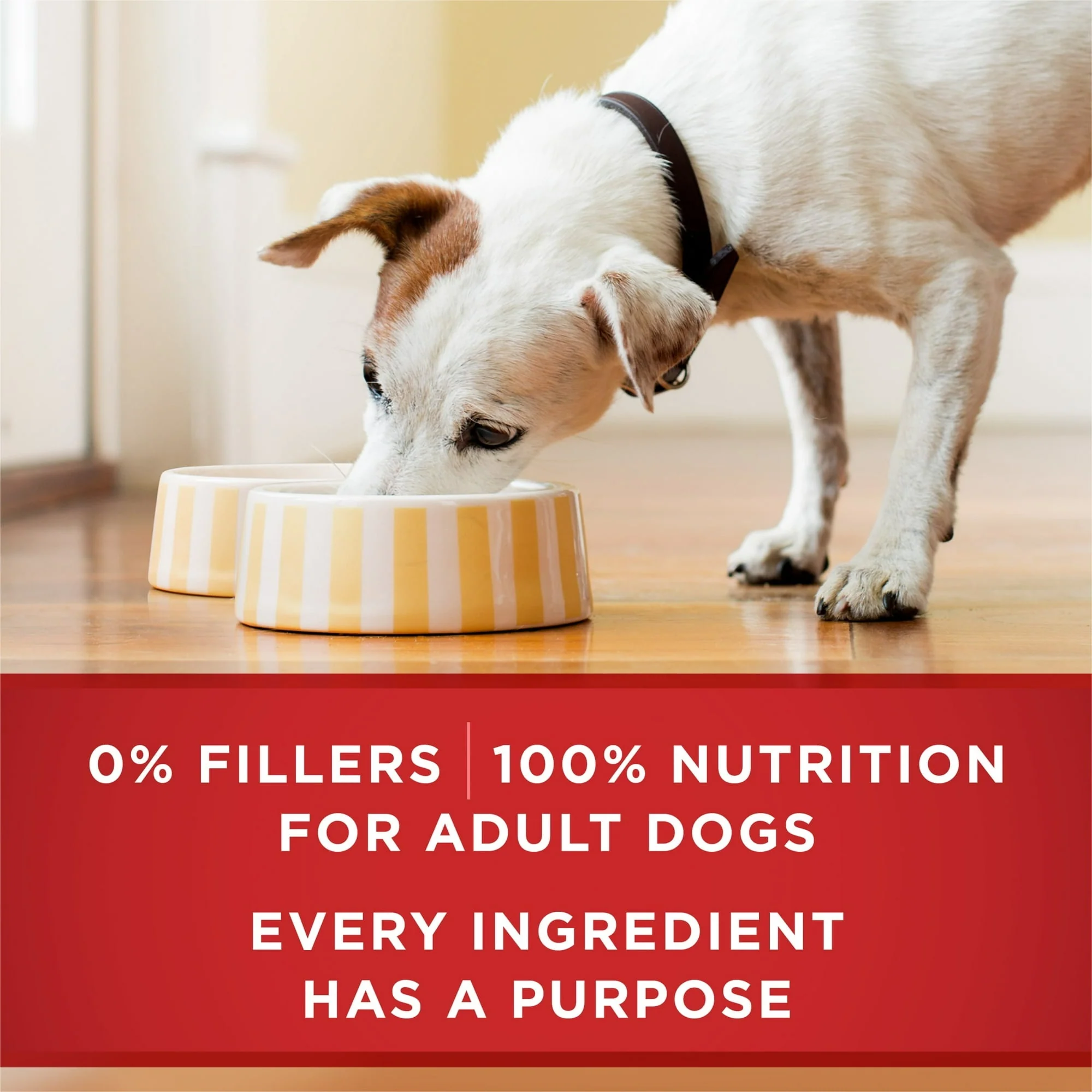 Purina ONE Natural Wet Dog Food, High Protein Soft Variety Pack, 13 oz Cans () - Image 9