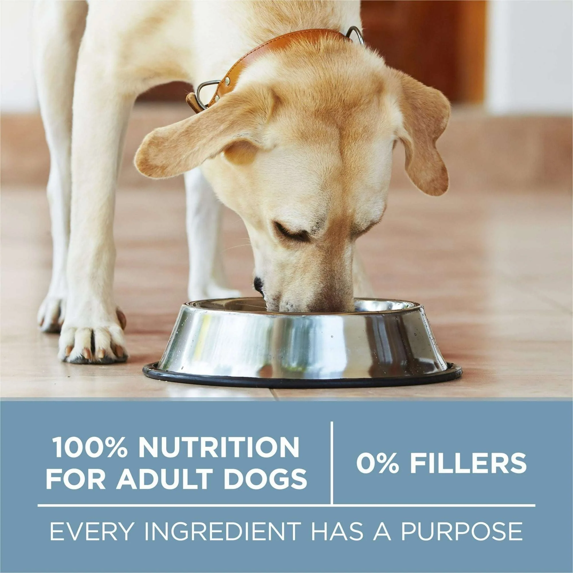 Purina One Plus Dry Dog Food Joint & Mobility Health, High Protein Chicken & Rice - Image 5