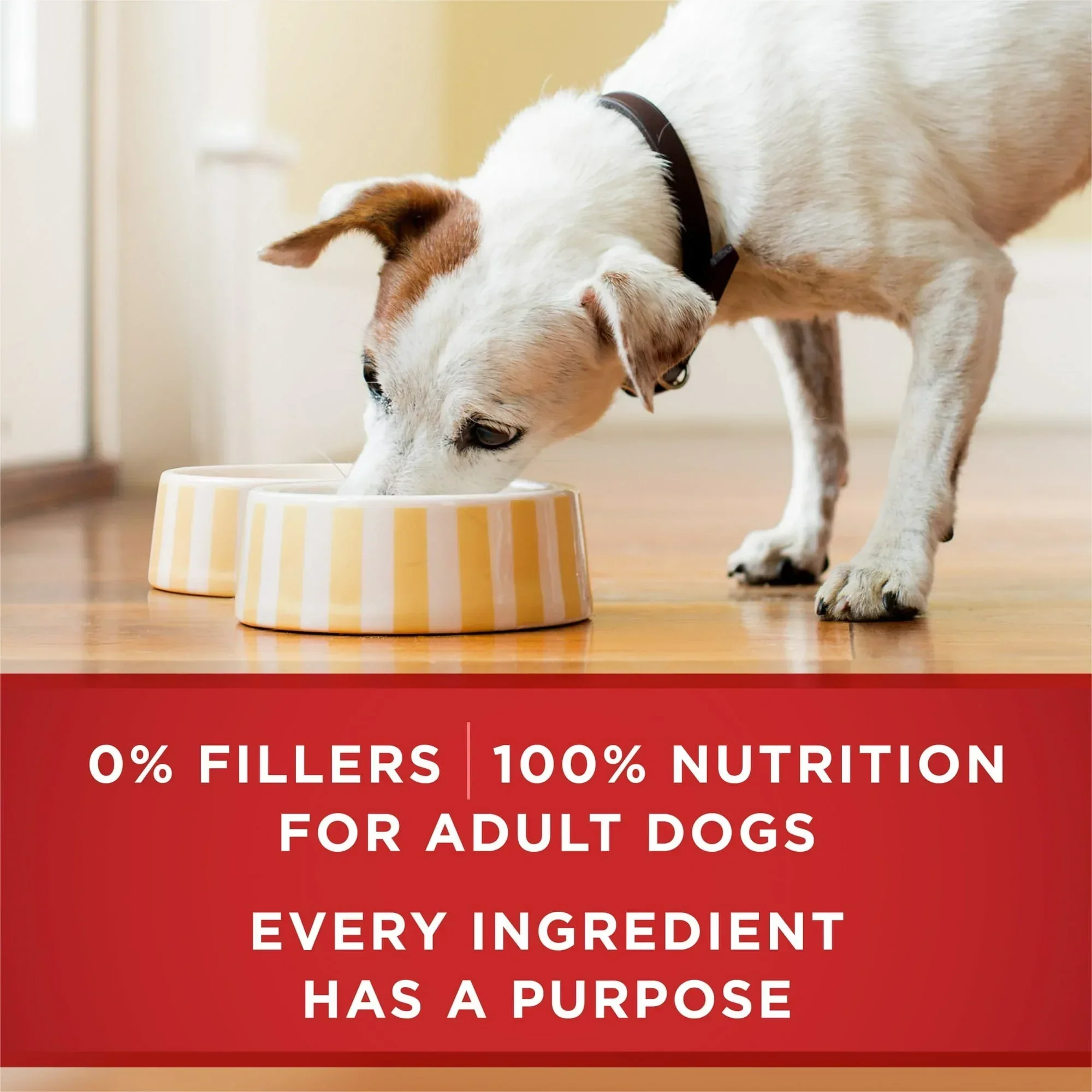 Purina ONE Smart Blend Wet Dog Food, High Protein Soft Chicken & Brown Rice, 13 oz Can - Image 23