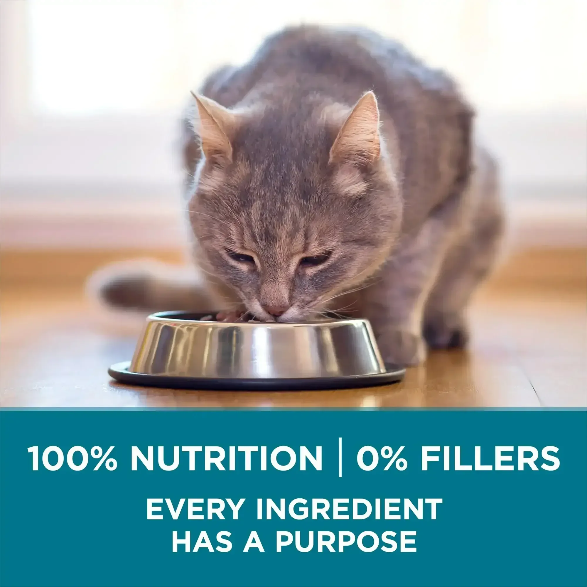 Purina ONE Tender Select Blends Dry Cat Food, Chicken, 7 lb Bag - Image 2