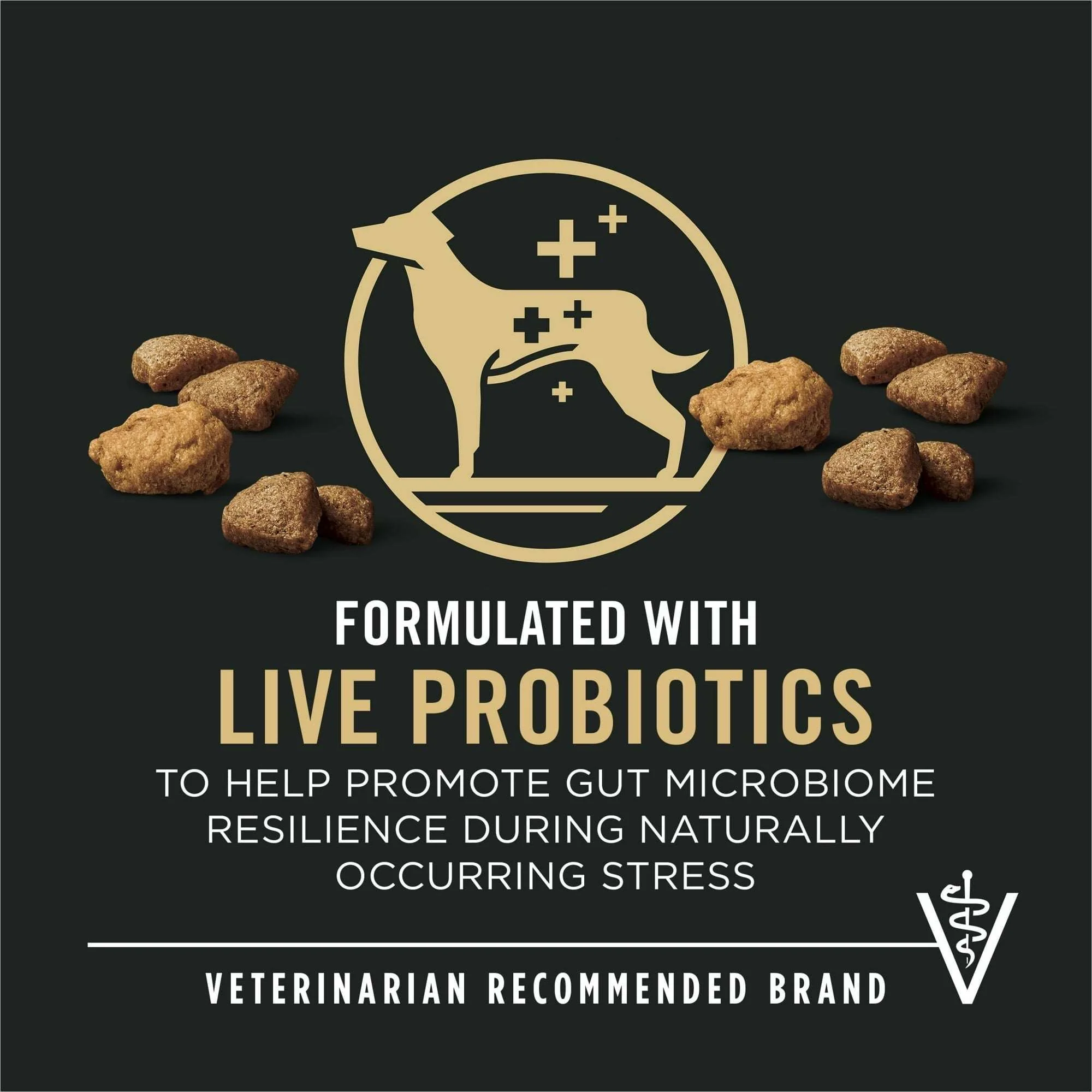 Purina Pro Plan Complete Essentials Shredded Blend Salmon and Rice Dry Dog Food Formula with Probiotics for Dogs, 5 lb Bag - Image 2