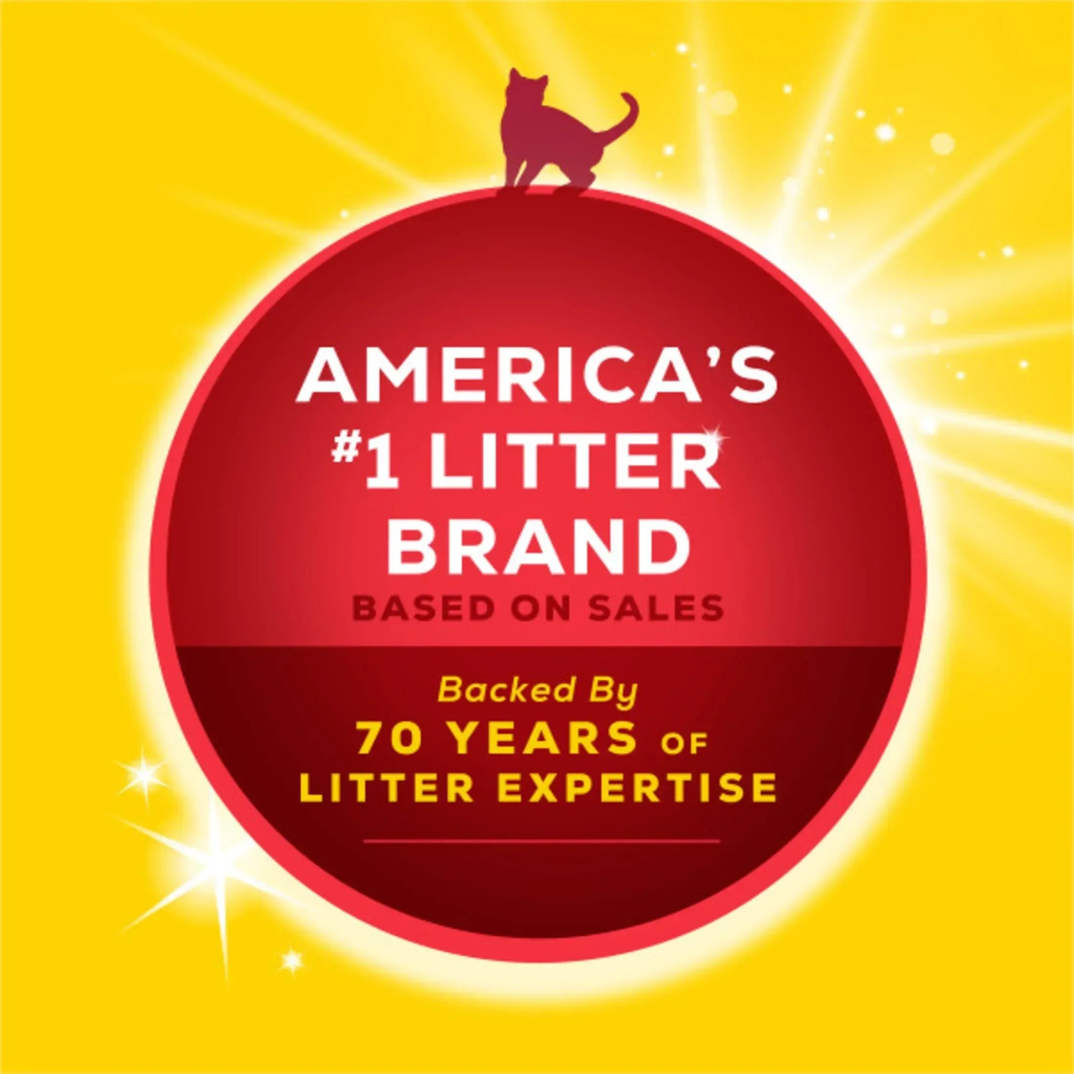 Purina Tidy Cats 24/7 Clumping Cat Litter, Low Dust, Deodorizing, 20 lb. Jug - Image 8