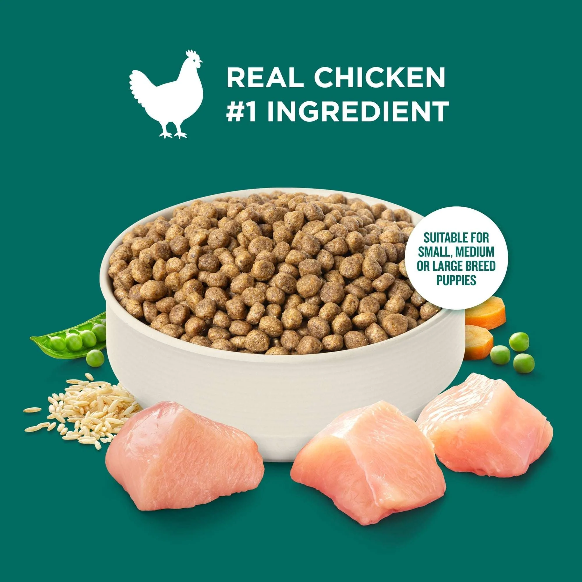 Rachael Ray Nutrish Dry Dog Food Puppy, Real Chicken & Brown Rice Recipe, 5 lb. - Image 4