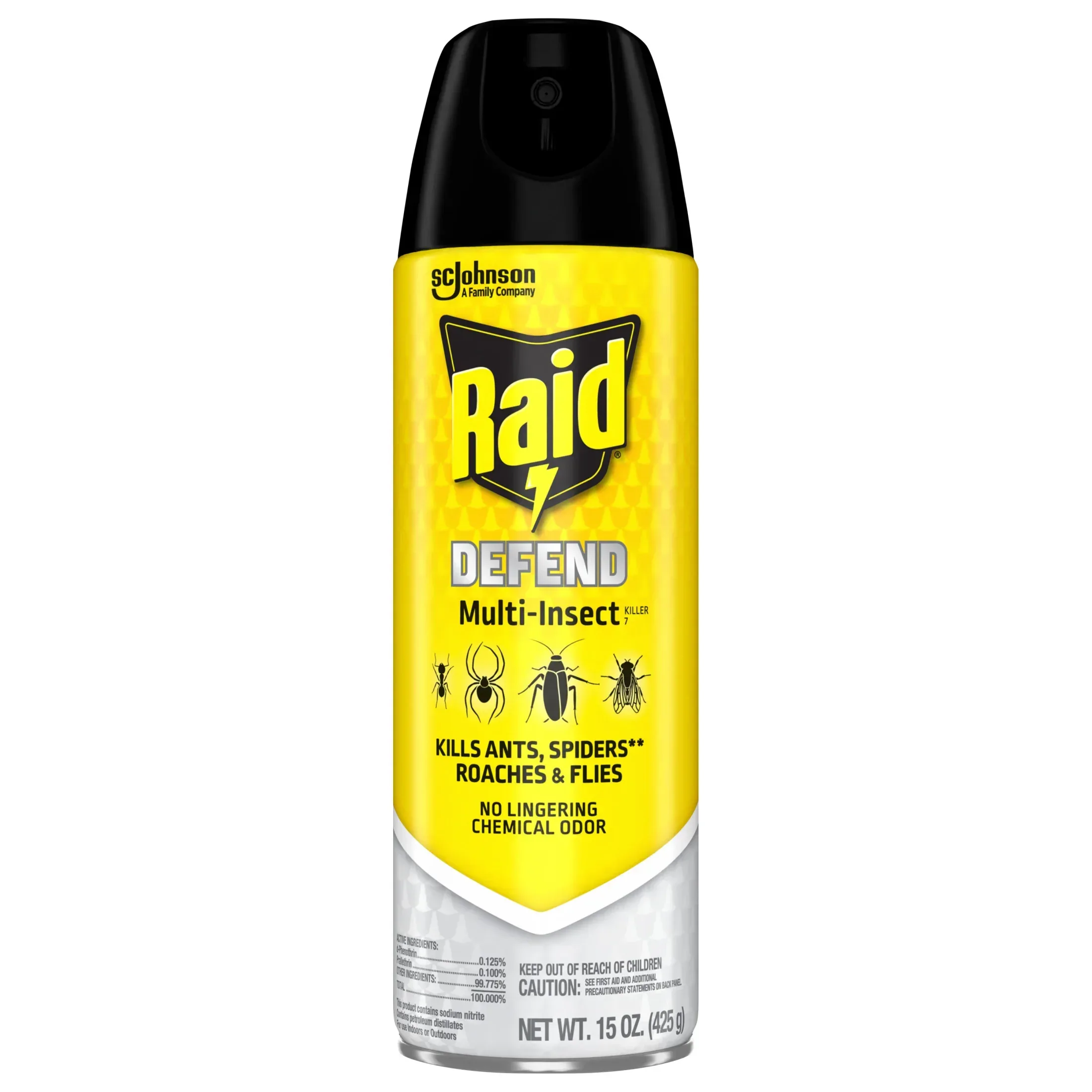Raid Defense System Indoor and Outdoor Ants, Roaches, Spiders and Flies Insect Killer Bug Spray, 15 oz - Image 11