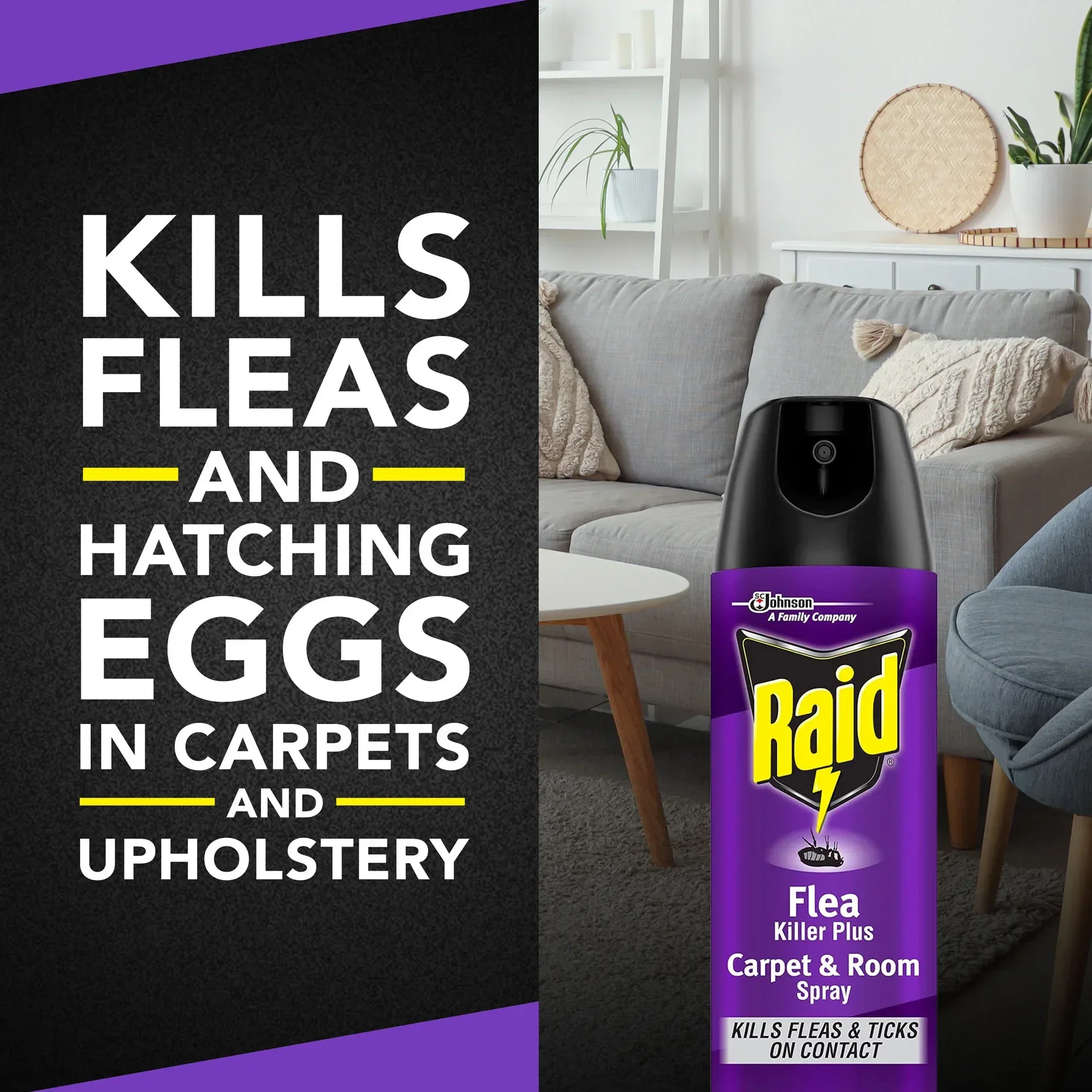 Raid Flea Killer Plus Carpet & Room Spray, Bug Spray Kills Fleas & Flea Eggs, 16 oz - Image 2