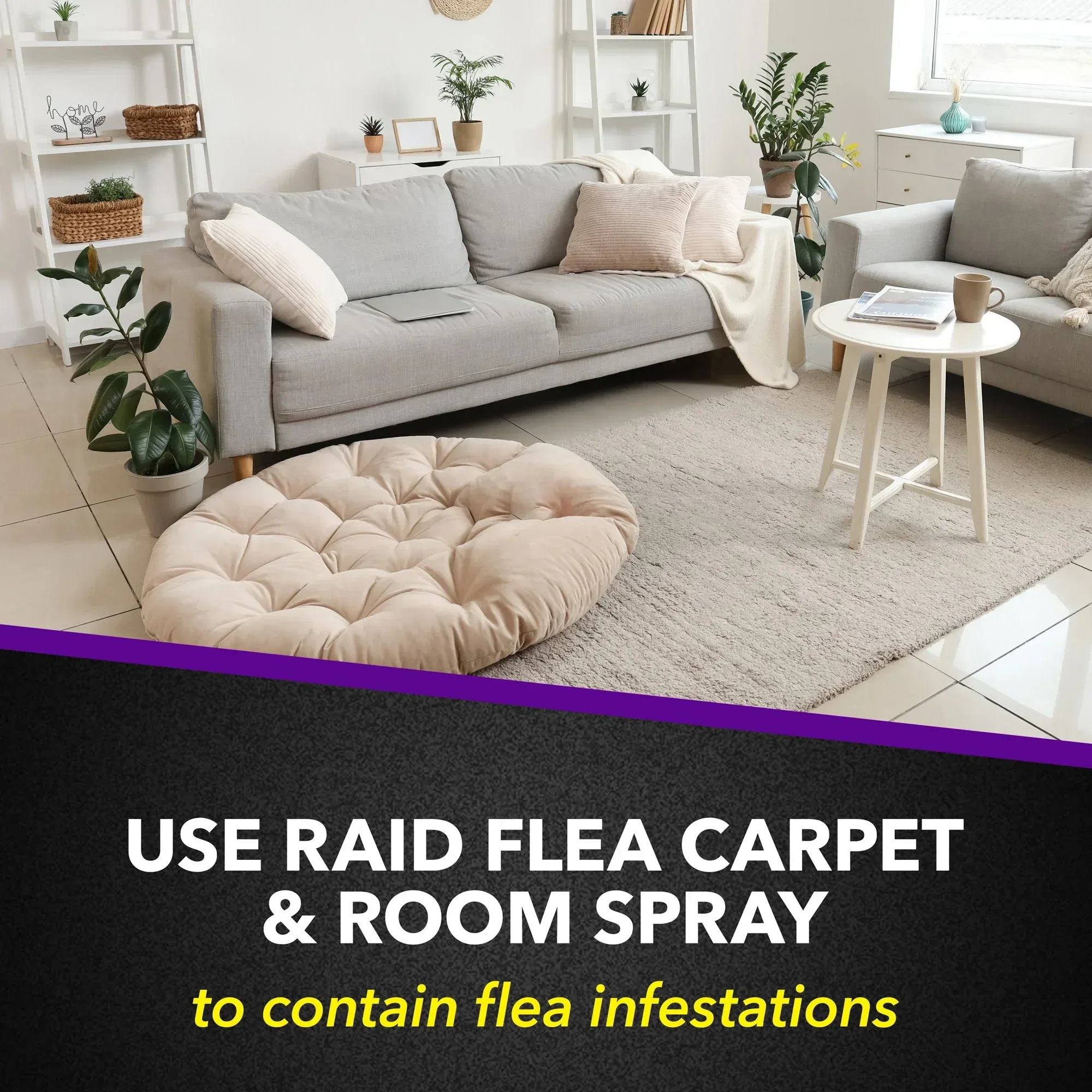 Raid Flea Killer Plus Carpet & Room Spray, Bug Spray Kills Fleas & Flea Eggs, 16 oz - Image 7