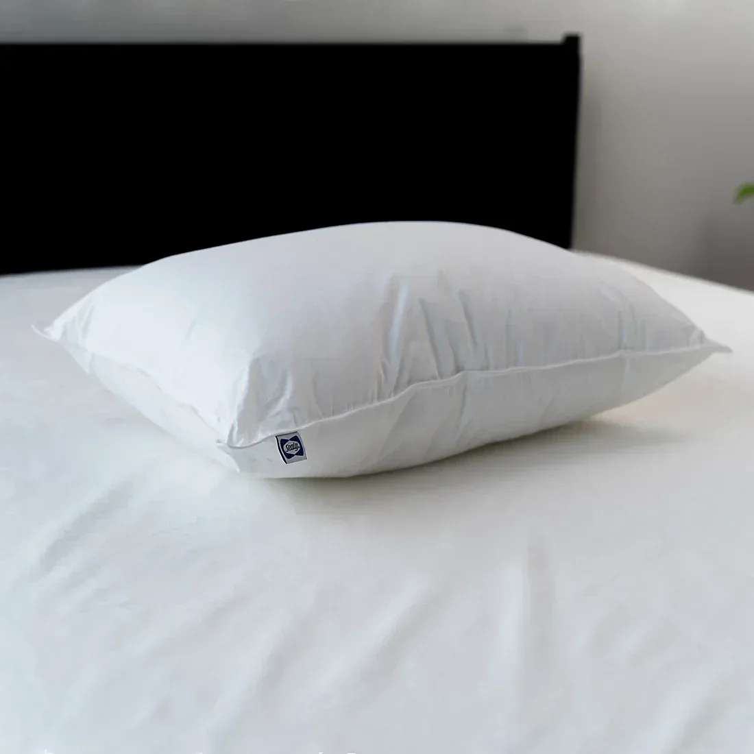 Sealy All Positions Pillow - Image 3