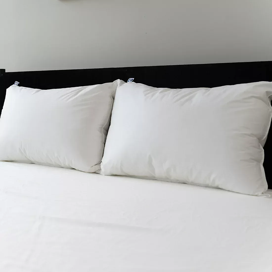 Sealy All Positions Pillow - Image 4