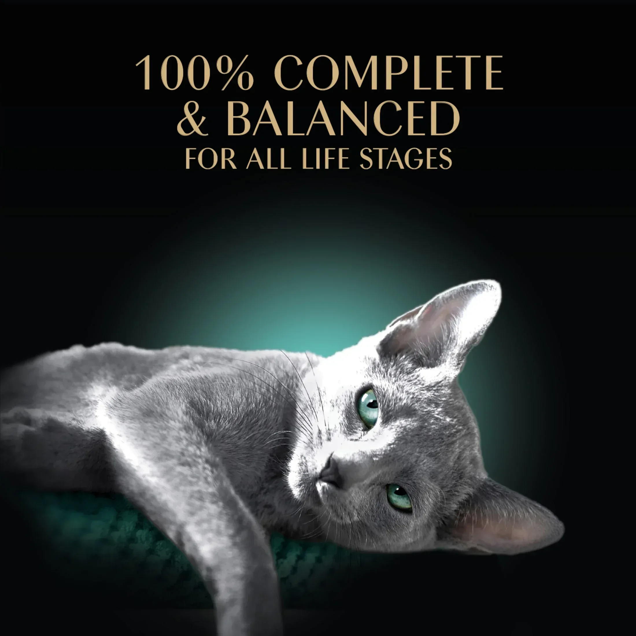 Sheba Gravy Indulgence Entree in Extra Gravy Variety Pack Cat Food, 2.6 oz Twin-Pack Trays, 24 Count - Image 5