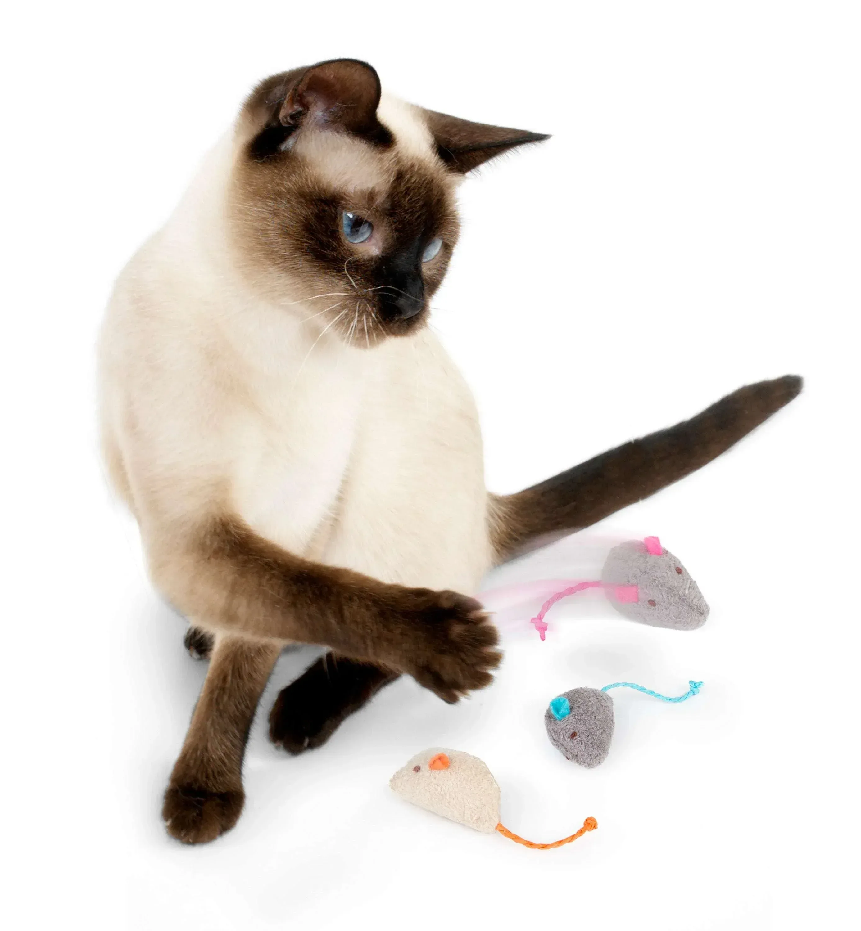 SmartyKat Skitter Critters Value Pack, Soft Plush Catnip Filled Mice Cat Toys, 10 Count - Image 2