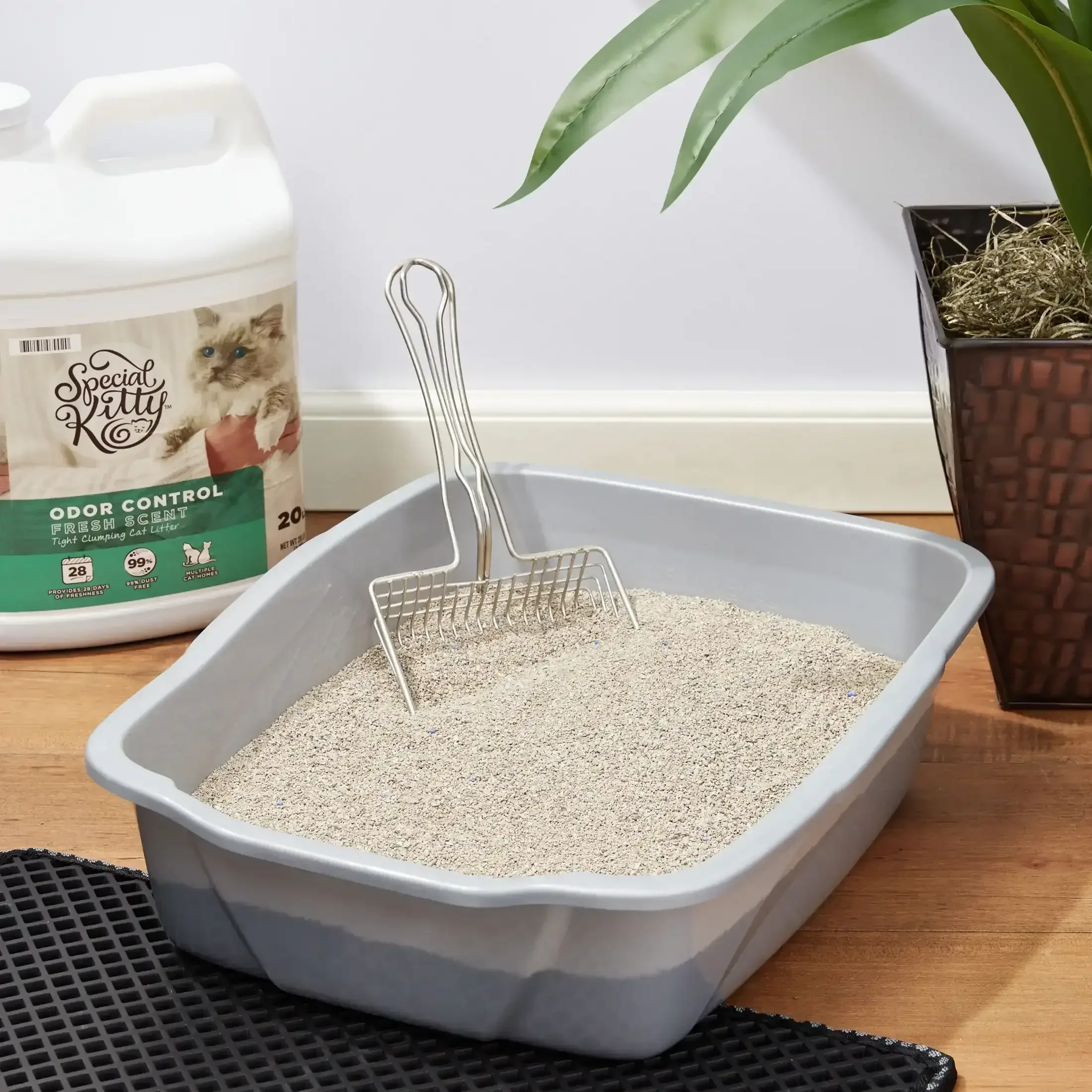 Special Kitty Scoopable Tight Clumping Cat Litter, Fresh Scent, 20 lb - Image 13