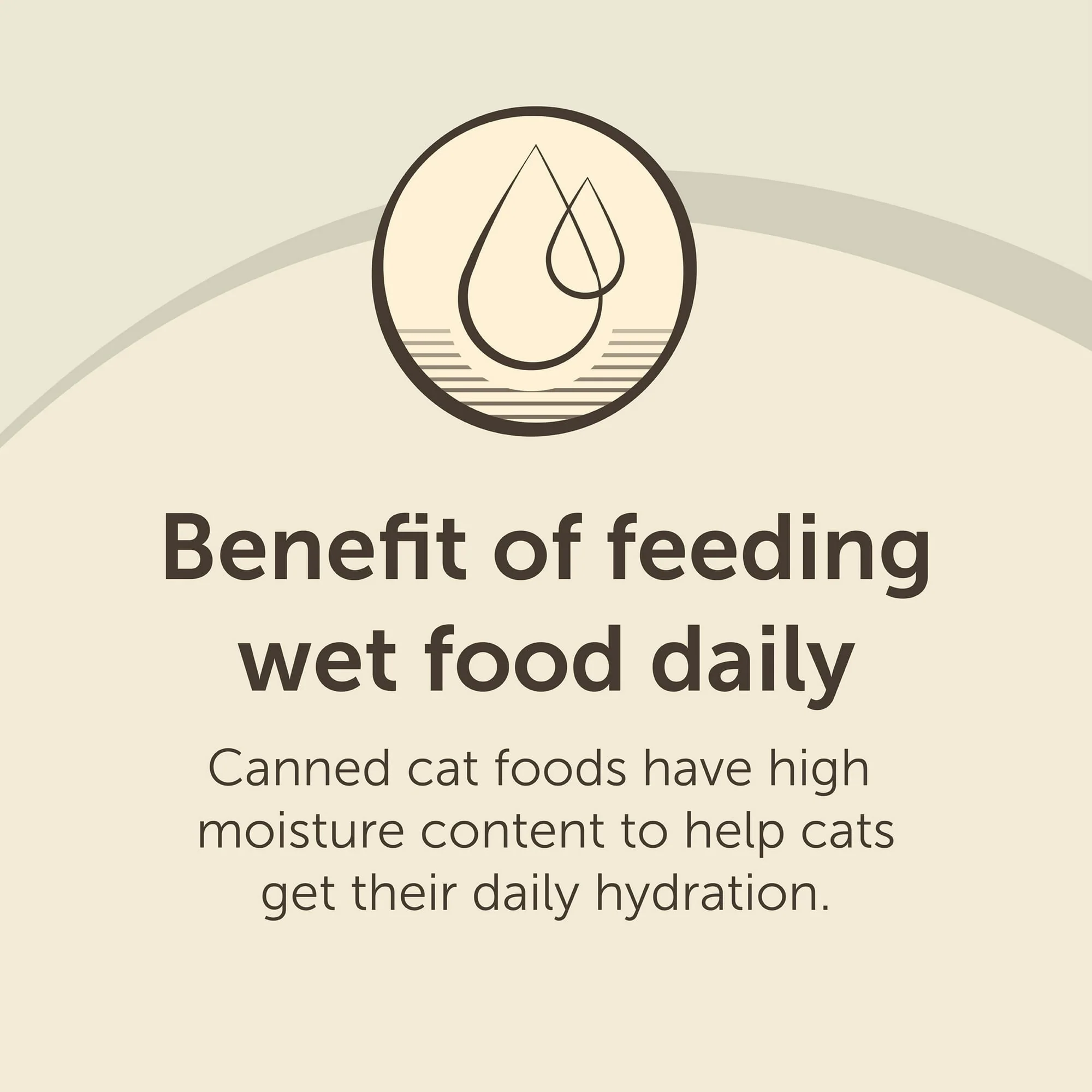 Special Kitty Surf & Turf Pate Wet Cat Food Variety Pack, 5.5 oz Cans (40 Pack) - Image 8