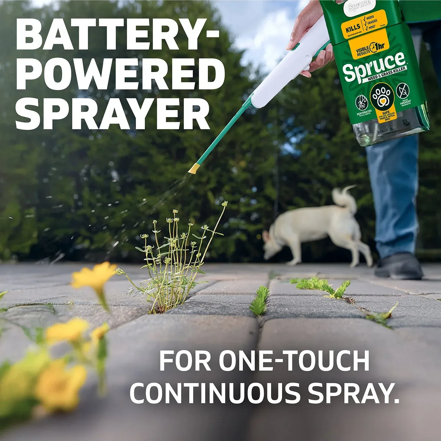 Spruce Weed & Grass Killer Kit, 1 Power Spray Starter Kit and 1 Refill, 64oz x 64oz - Image 4