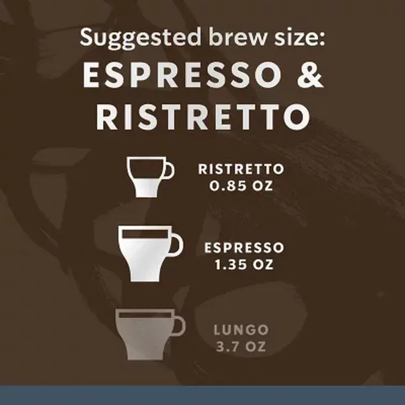 Starbucks by Nespresso Espresso Coffee Pods, Dark Roast (60 Ct.) - Image 5