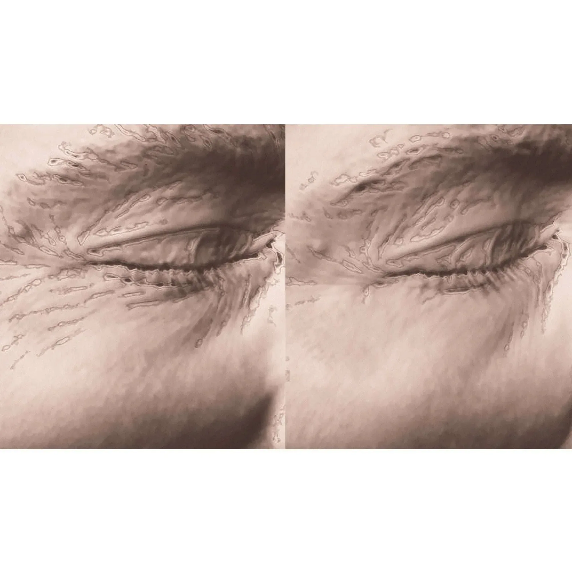 Strivectin Eye Mask Collagen Renewal 12-pack - Image 4