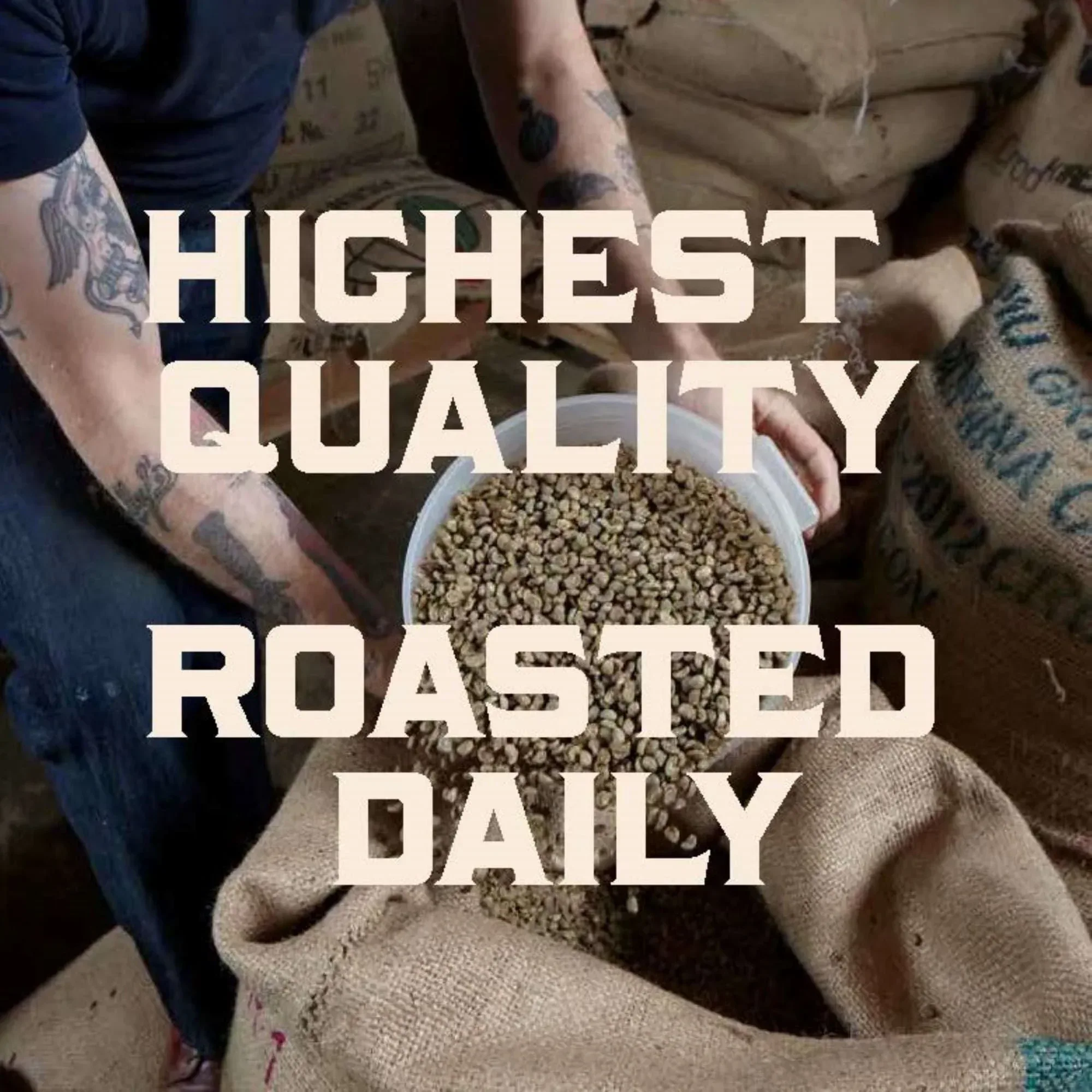 Stumptown Coffee Organic Holler Mountain Premium Medium Roast Whole Bean Coffee, Arabica, 12 oz - Image 6