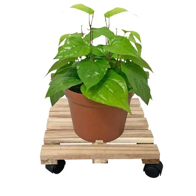 Style Selections 12-in L x 12-in D x 3.2-in H Brown Plant Caddy - Image 9