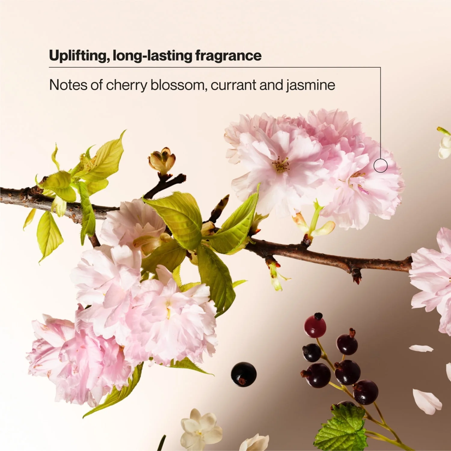 Suave Wild Cherry Blossom Moisturizing Body Wash with Glycerin & Vitamin E, 30 FL OZ Pump - Image 5