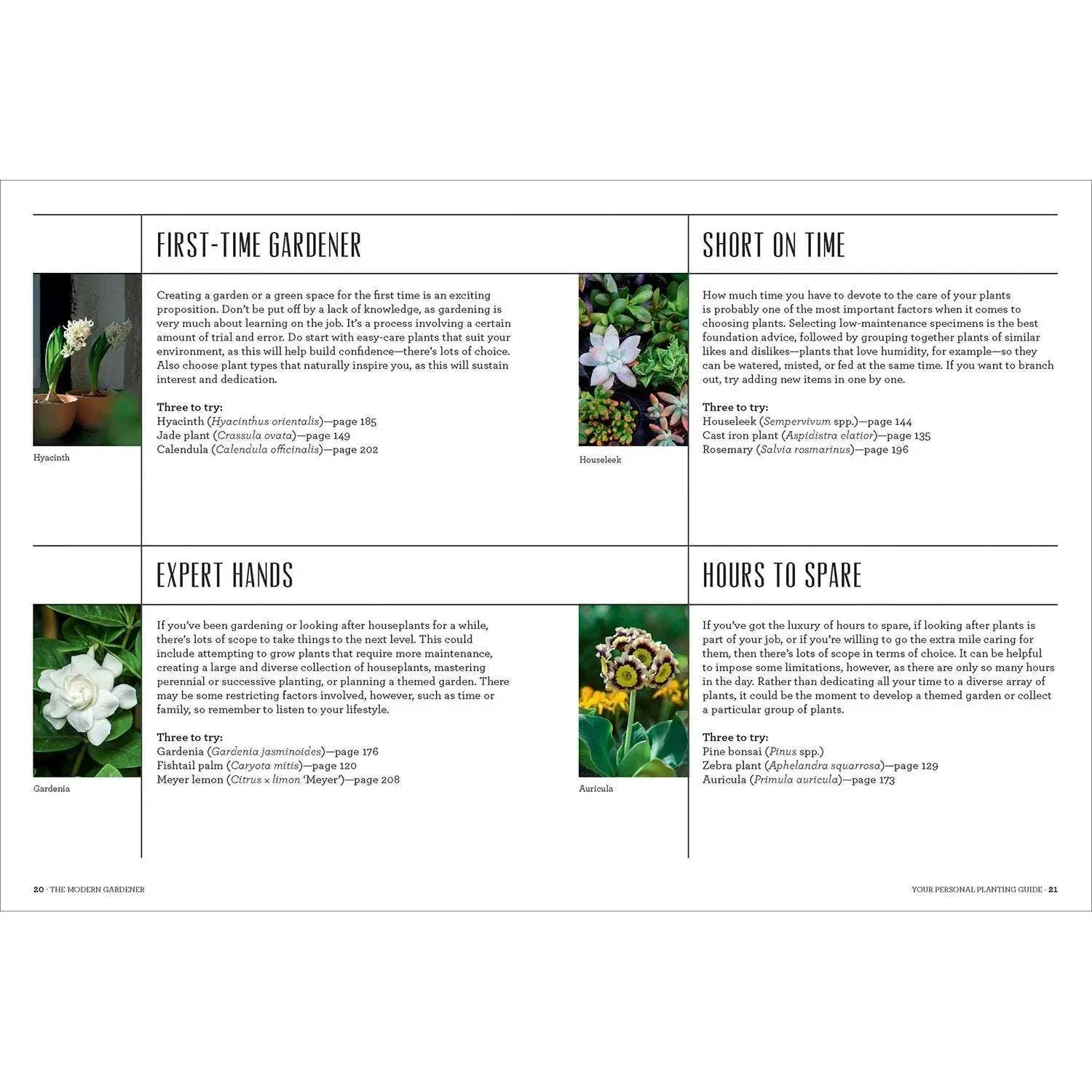 The Modern Gardener, Hardcover - Image 5