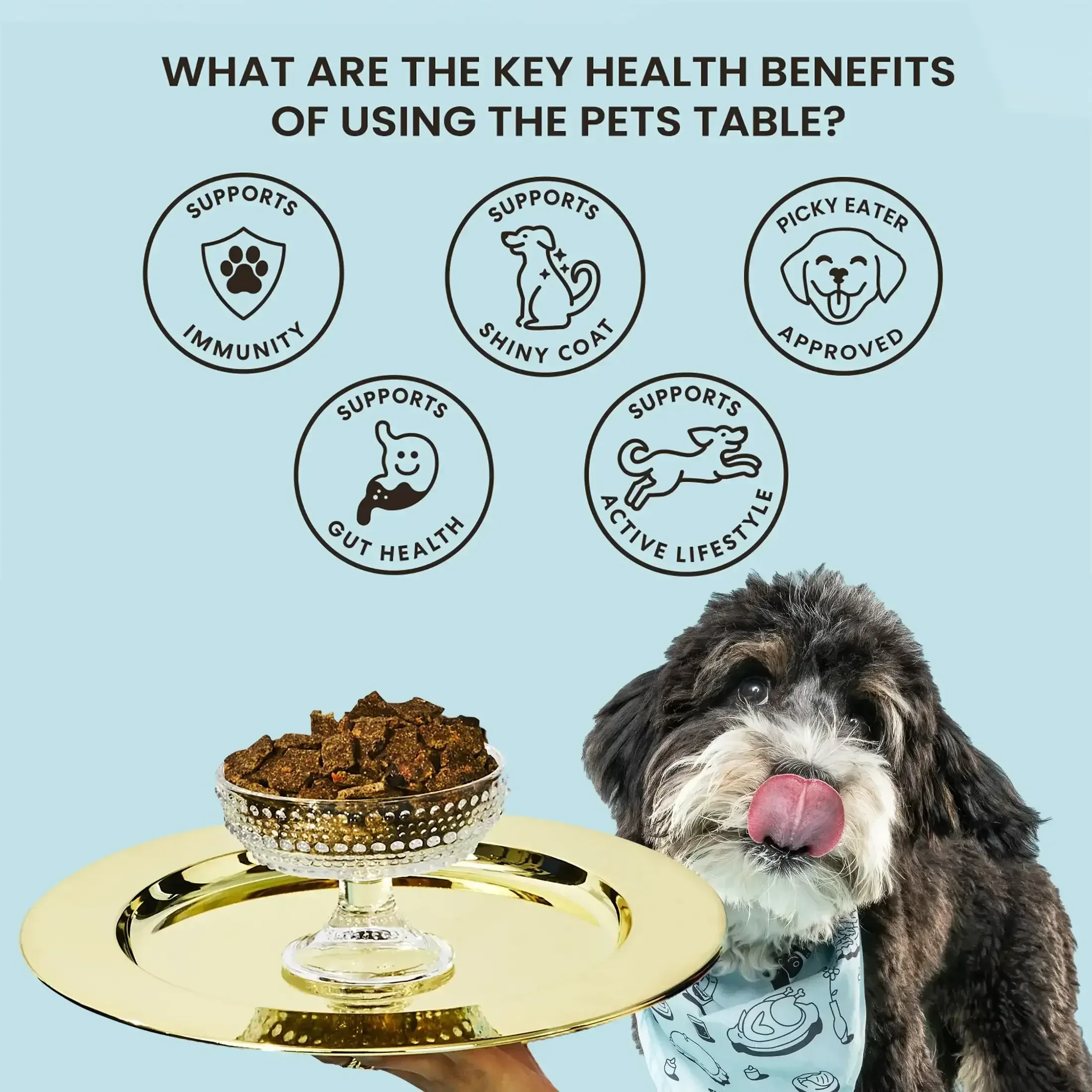 The Pets Table Beef & Berries Air-Dried Dog Food - Image 4
