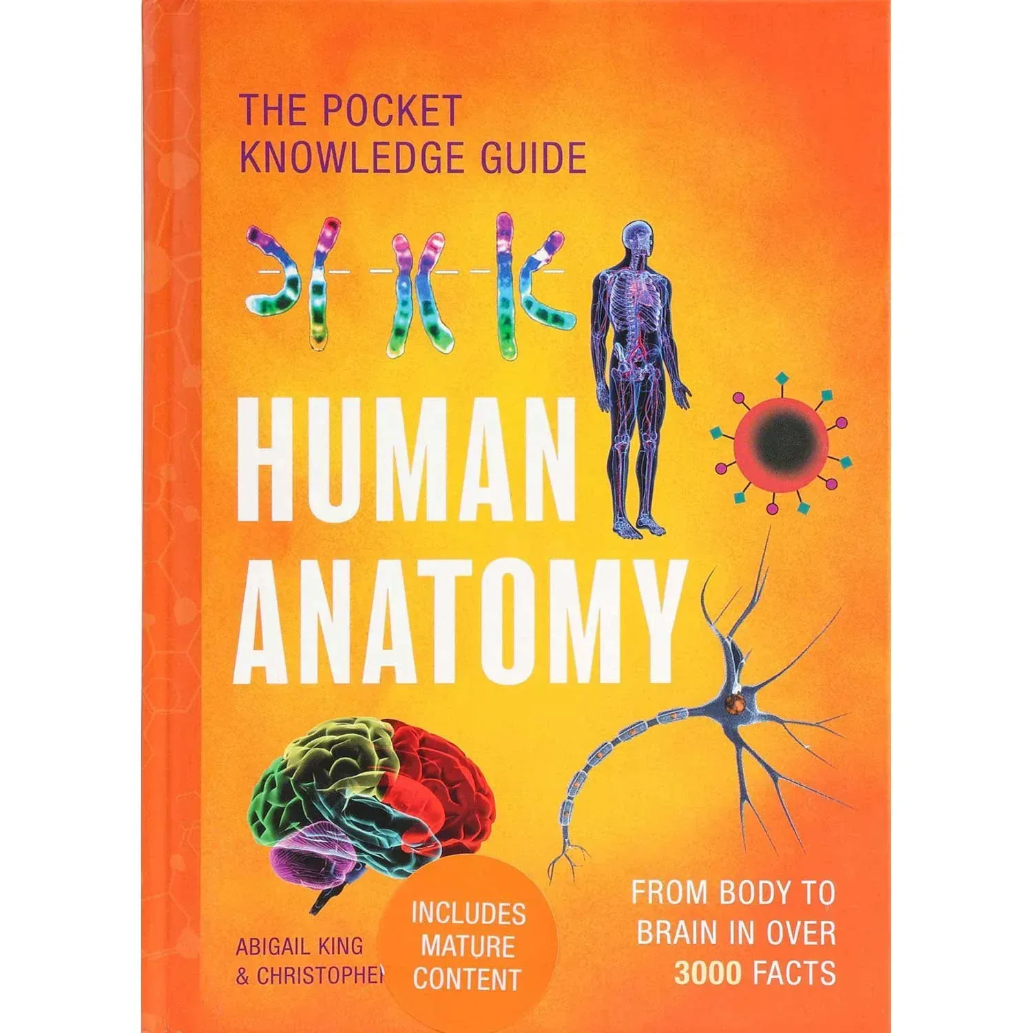 The Pocket Knowledge Guide: Human Anatomy, Hardcover - Image 2