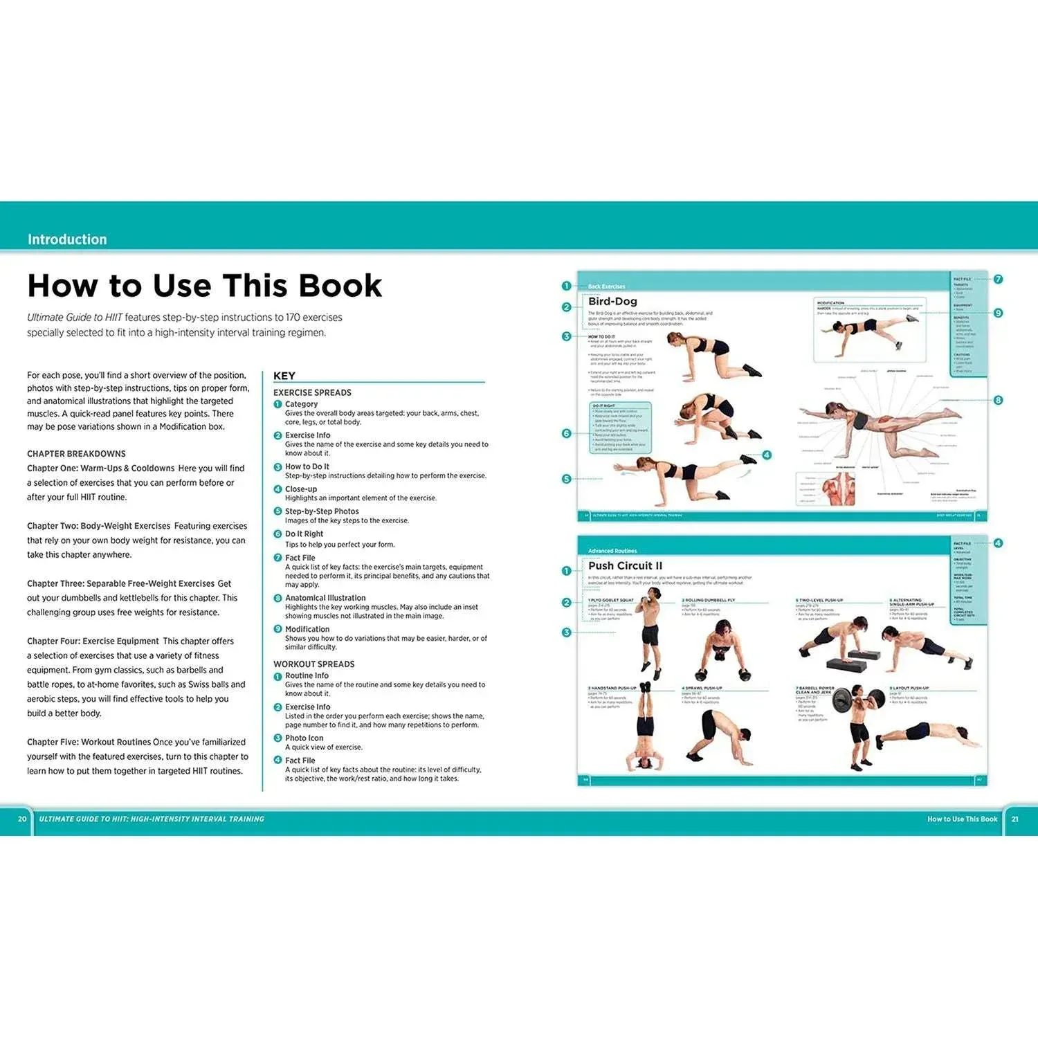 Ultimate Guide to HIIT by Alex Geissbuhler, Flexibound - Image 4
