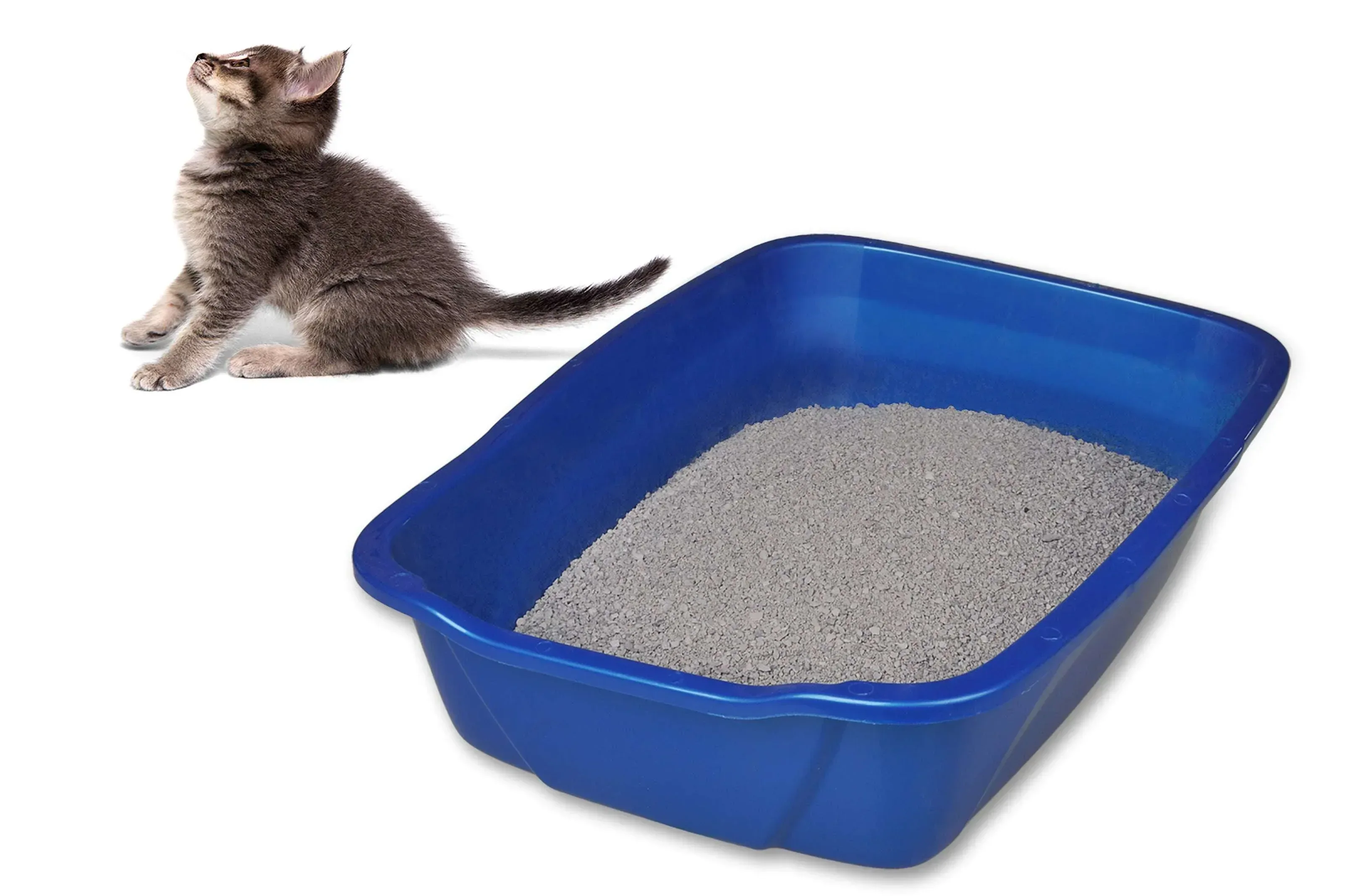 Van Ness Cat Litter Pan, Small, Color May Vary - Image 3