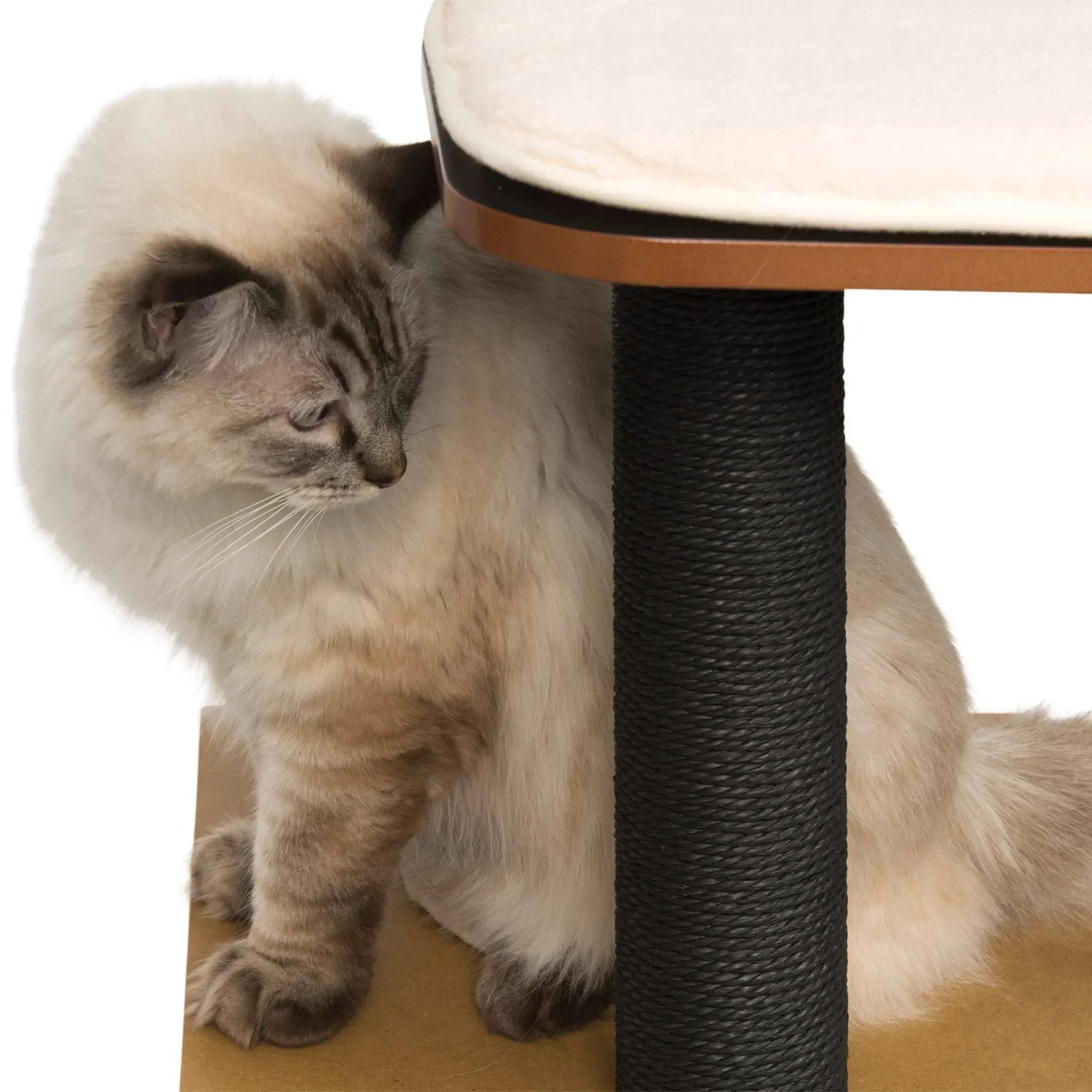 Vesper High Base 47.8 inch Cat Tree, 3 Levels and 1 Condo, Black - Image 2