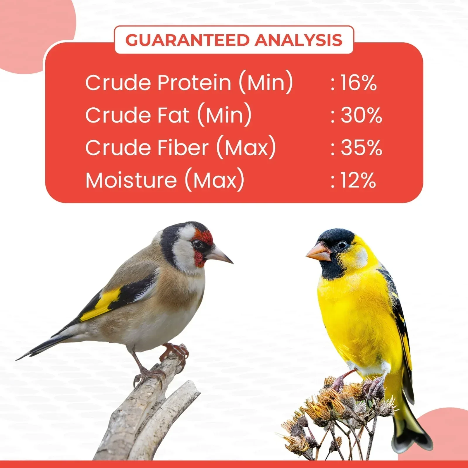 Vibrant Life Nyjer Thistle Seed Wild Bird Food for Finches, 10 lb Bag - Image 5