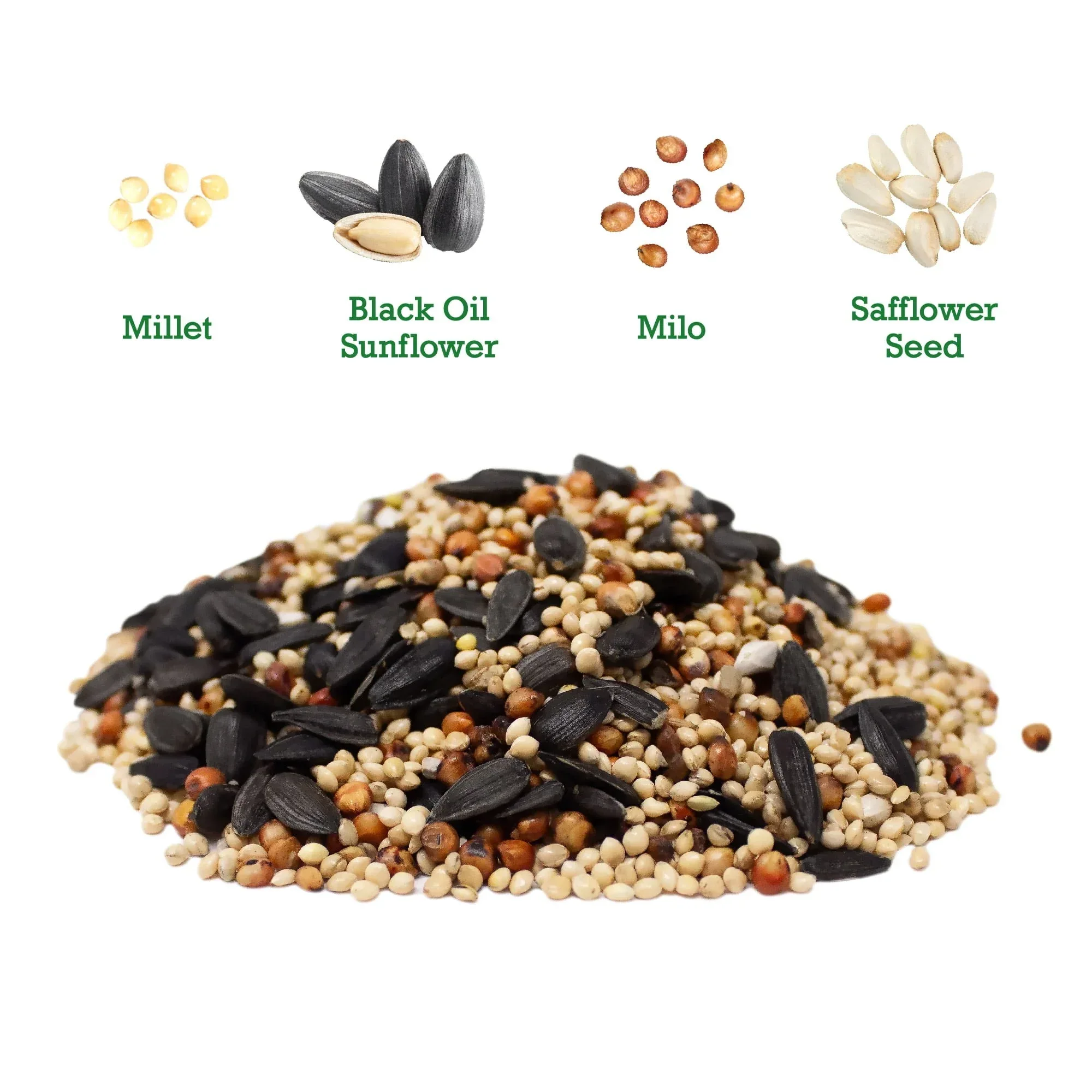 Vibrant Life Songbird Select Wild Bird Seed, 20 lb Bag - Image 3