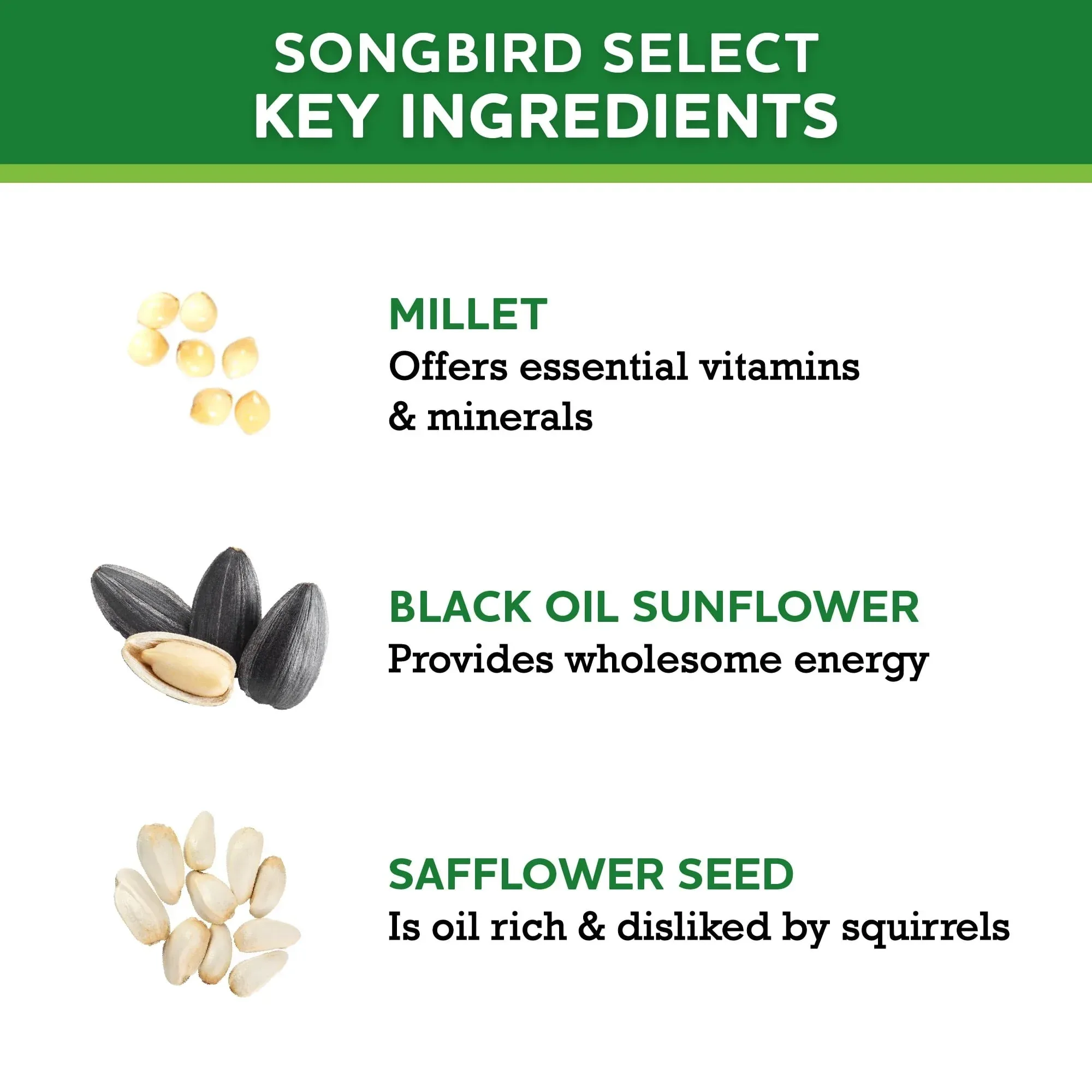 Vibrant Life Songbird Select Wild Bird Seed, 20 lb Bag - Image 5