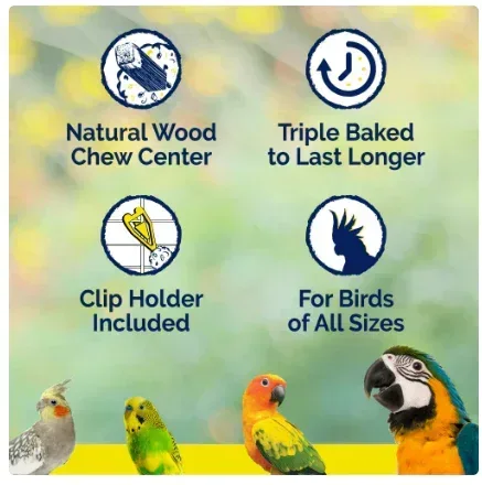 Vitakraft Crunch Sticks Cockatiel Treat - Apricot and Peach - Pet Bird Treat Toy - 2 Sticks - Image 2