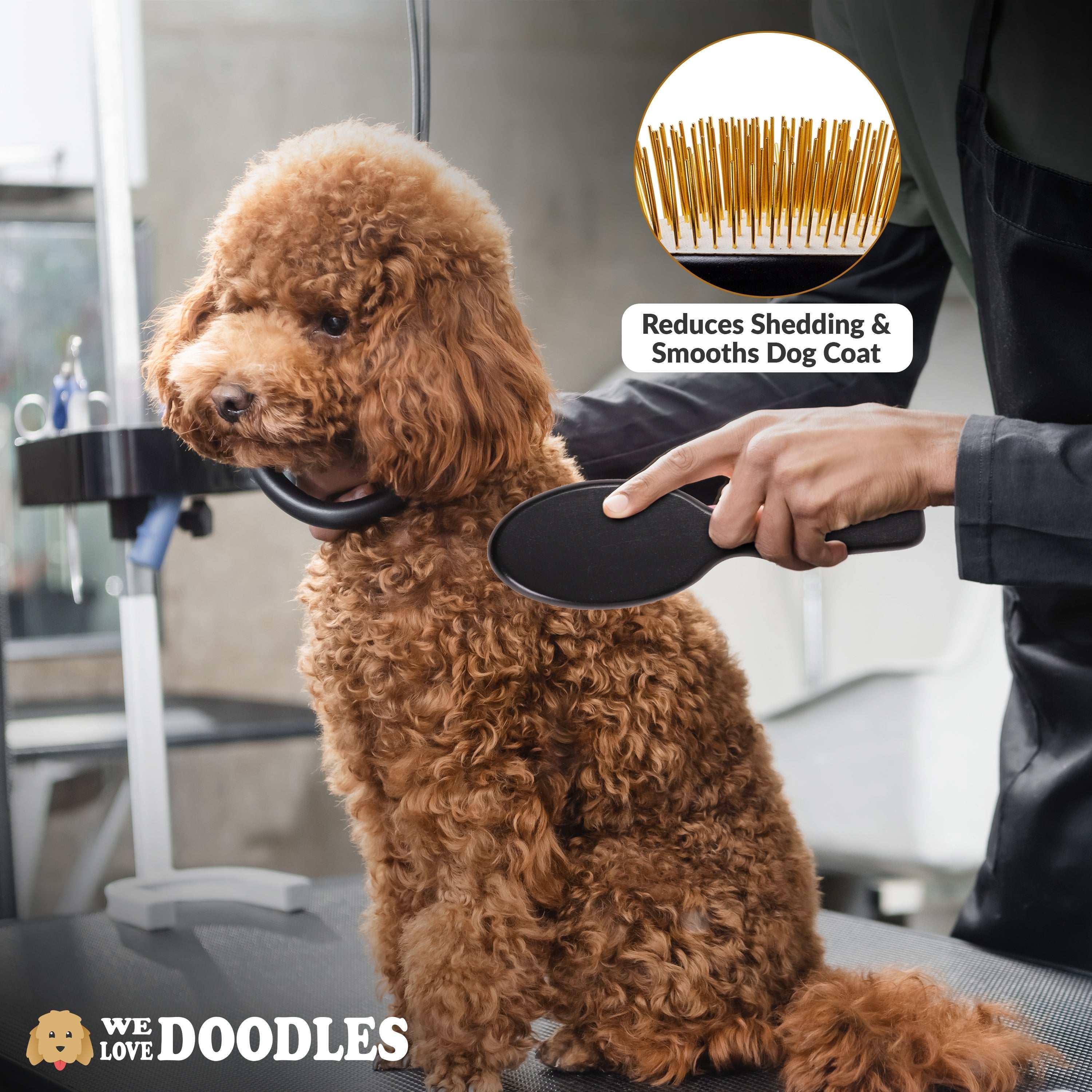 We Love Doodles Pin Brush For Dogs, Pet Grooming Detangler Pin Dog Brush, Dog Brush For Shedding & Loose Fur, Gold Pins Long Haired Pets - Image 7