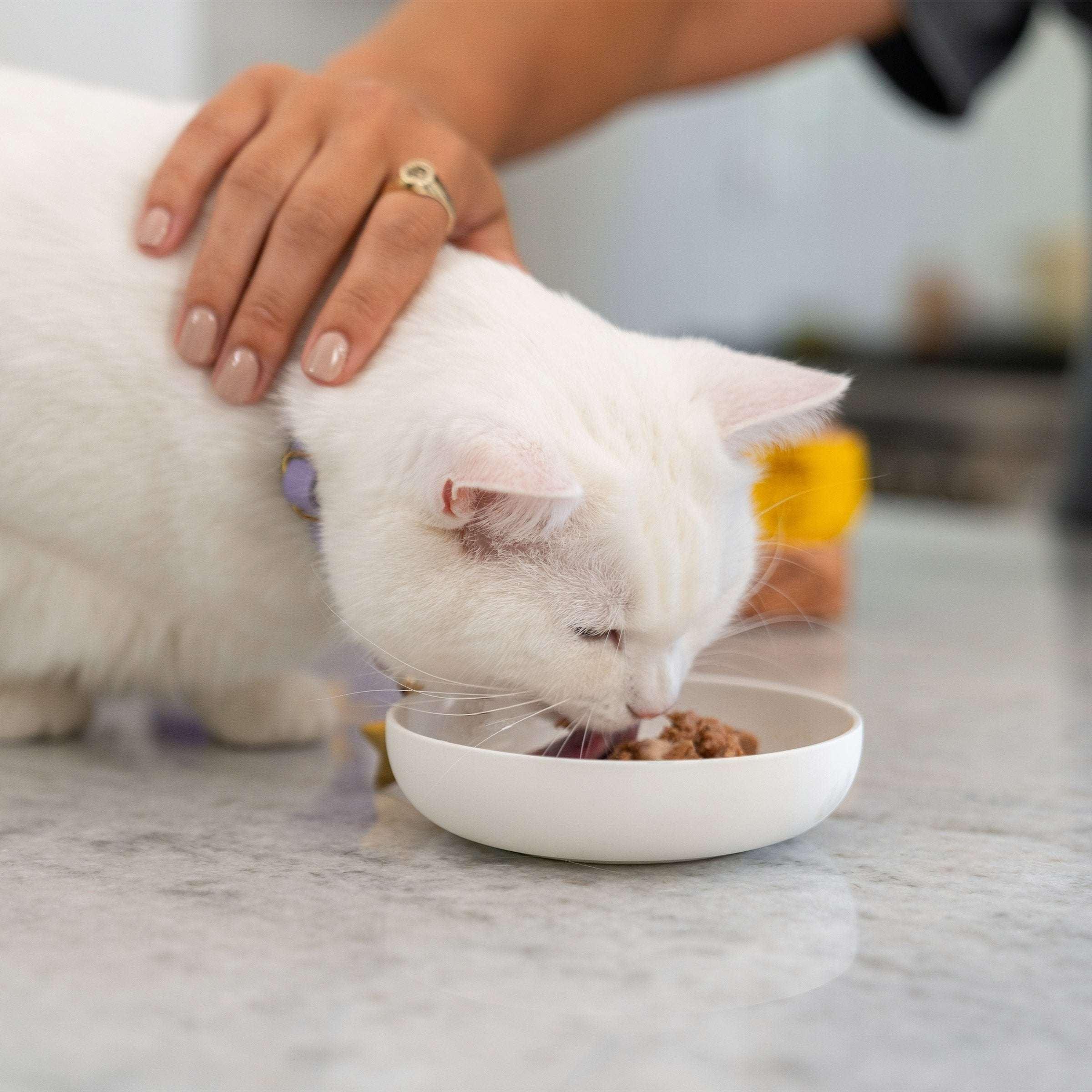 Wellness Good Kitty Wet Cat Food Pate Variety Pack, 3 oz, 24-count - Image 5