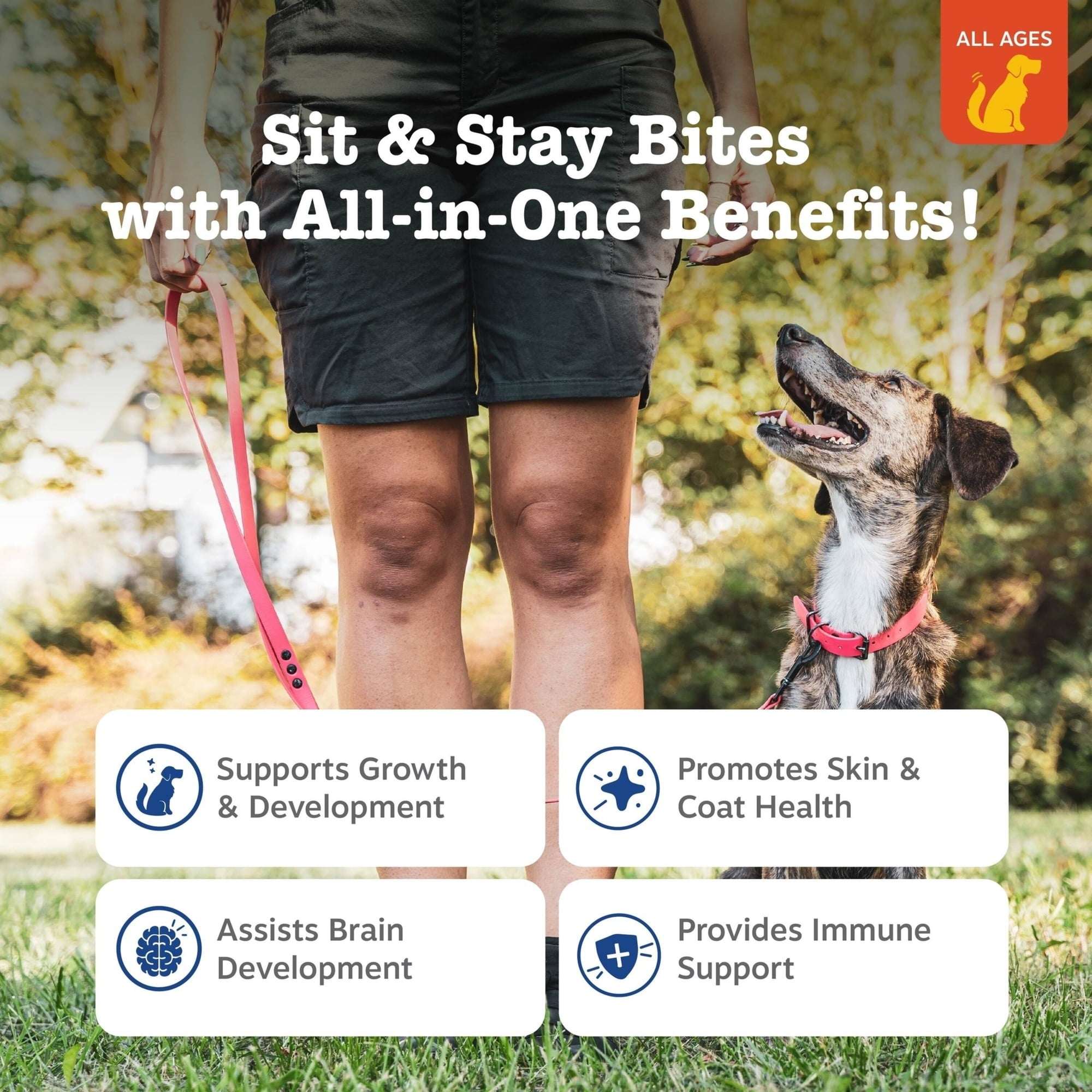 Zesty Paws All-in-One Training Bites Bacon Flavor, 8oz - Image 3