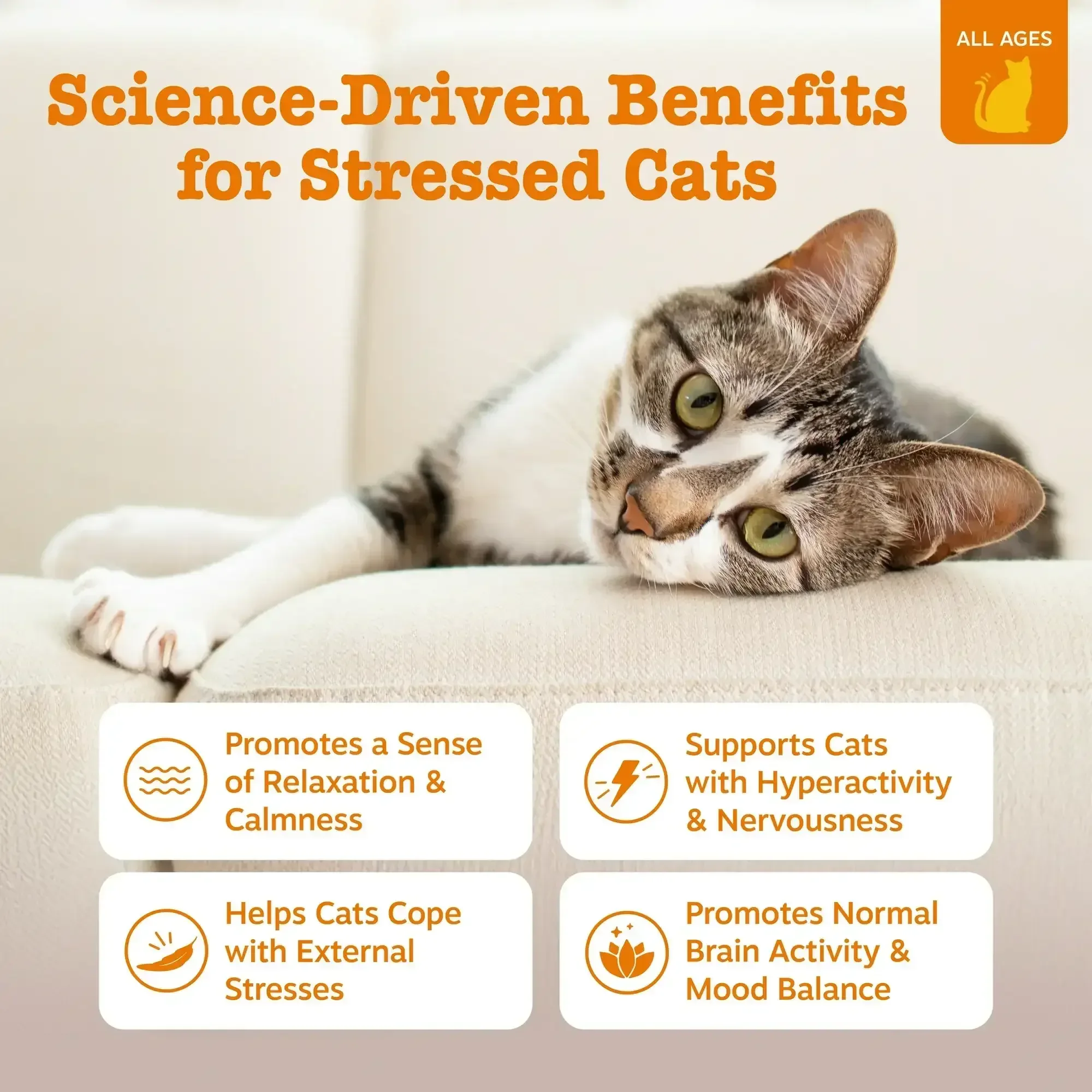 Zesty Paws Calming Bites for Cats, for Calmness, Composure & Relaxation, Bacon 30 ct - Image 2