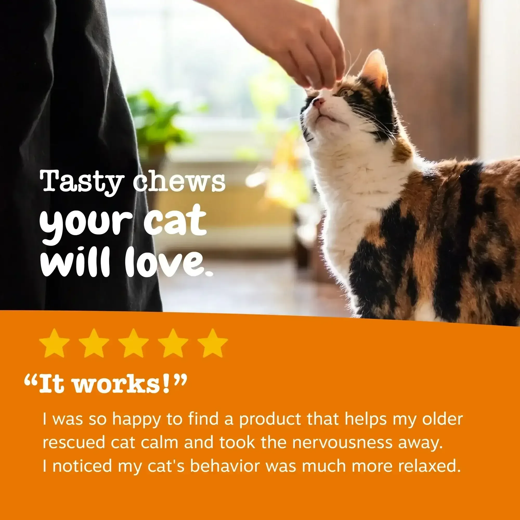 Zesty Paws Calming Bites for Cats, for Calmness, Composure & Relaxation, Bacon 30 ct - Image 4