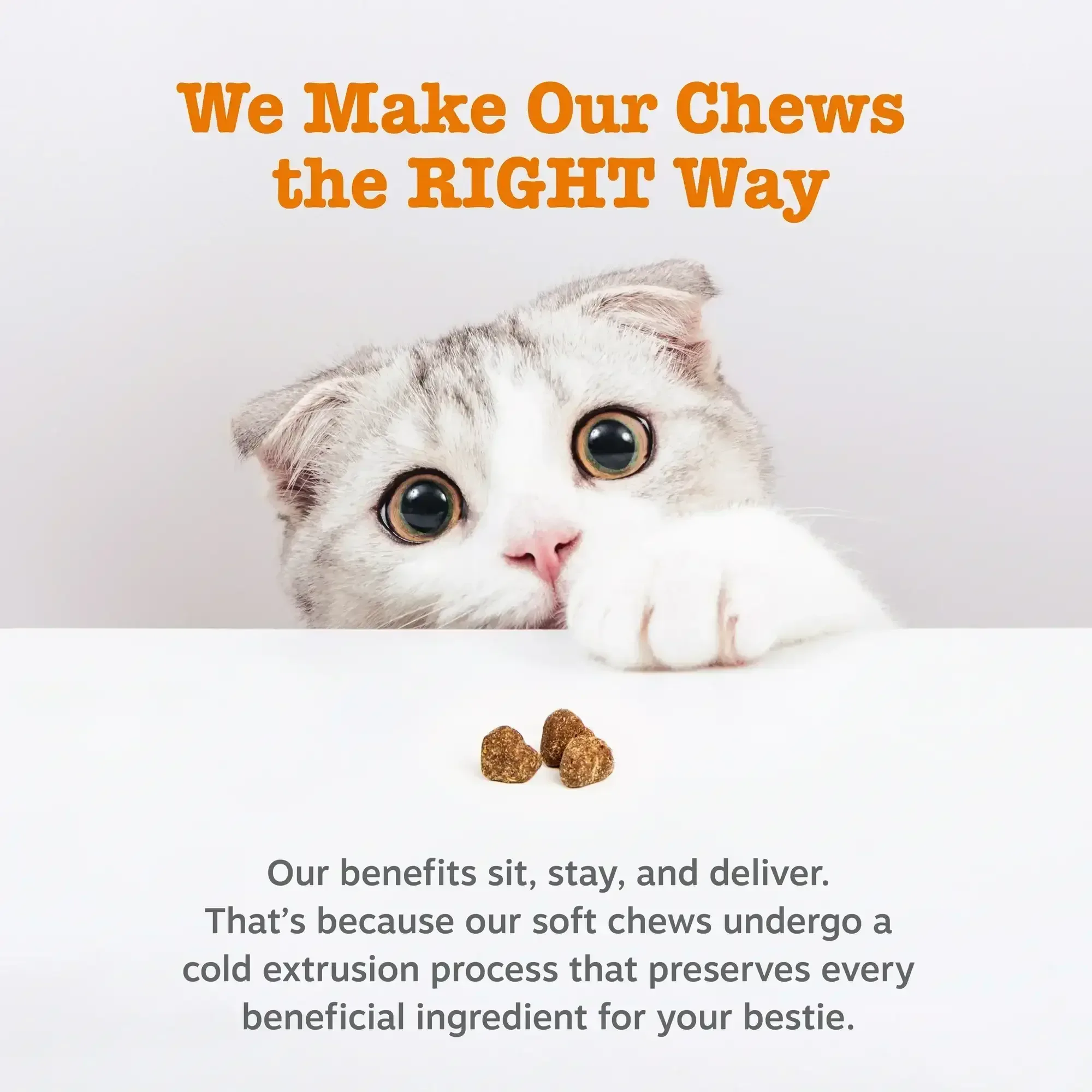 Zesty Paws Calming Bites for Cats, for Calmness, Composure & Relaxation, Bacon 30 ct - Image 5