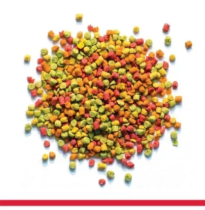 Zupreem® Fruitblend® Daily Bird Food Pellets for Small Birds 14oz - Image 2